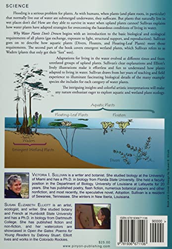 Why Water Plants Don't Drown: Survival Strategies of Aquatic and Wetland Plants - Image 2