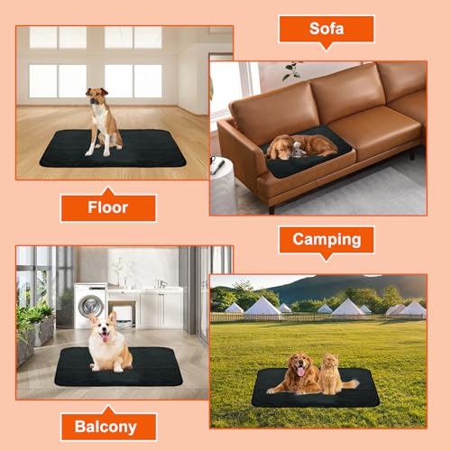 YBCCBY Hundedecke Faltbare Haustier Decke Camping Doppelseitige Hundematte Wasserdicht Hund Katze Mat rutschfest Hundepolster Hundebett mit Tragetasche Reisedecke für Haustier (100 * 70cm)