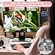 Handheld Microscope for Children, Mikroskop für Kinder, 500X Portable Pocket Microscope for Children, 3 Levels Adjustable LED Lights, Mini-Mikroskop für Kinder ab 3 Jahren-Rosa
