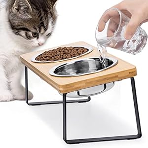Elevated Cat Bowls for Food and Water – Loplurea 15° Tilted Raised Stainless Steel Cat Food Bowl with Bamboo Stand and Anti Vomit Feeding Station for Indoor Cats and Pet…