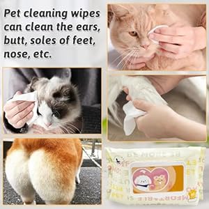 Hamiledyi Pet Wipes for Dogs 6 Packs of 80 Count Cats Paws Feet Wipe Soft Thick Puppy Grooming Wipes with Lids for Quick Cleaning Butt Feet Ears Eyes Nose Cucciolini Doodles Hamiledyi pet wipes for dogs 6 packs of 80 count cats paws feet wipe soft thick puppy grooming wipes with lids for quick cleaning butt feet ears eyes nose cucciolini doodles
