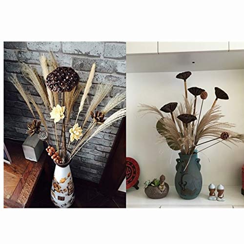 Natural Dried Flowers Bundles - Natural Dried Pampas Grass Brown Bouquet Boho Decoration for Home Decoration, Photo Props - Dried Bunny Tails Pampas for Flower Arrangements Wedding Home Decor (30Pcs)