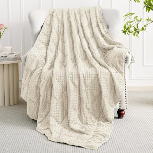 Image of Mr. Sandman Cooling Weighted Blanket for Adults, Queen Size 12 lbs, 48″x72″
