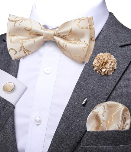 Image of Dubulle Mens Paisley Striped Bowtie Set Pre-tied Bowtie for Men and Pocket Square Set Wedding Business
