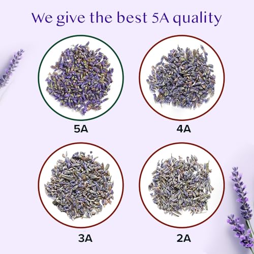 VAHDAM Premium Lavender Flowers Food Grade (170g) | Vacuum Sealed Packaging for Freshness | Perfect For Hot/Iced Lavender Tea, Baking, Syrup