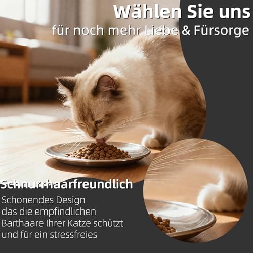 2er Set Katzennäpfe aus Edelstahl 17cm – Flach & Schnurrhaarfreundlich, rutschfeste Katzenschüssel Set, Fressnapf & Wassernapf Katze, Spülmaschinenfest, Bruchsicher & Hygienisch