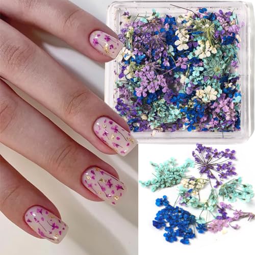 Qdsuh HJKFBHM01 Dried Flowers For Nails, 3D Natural Dry Flower For Resin Crafts Tiny Floral Nail Art Flowers Colorful Mini Mix Flower Nail Stickers thumb #5