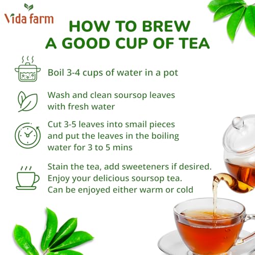 VIDA FARM 355+ Dried Soursop Tea Leaves, Natural Whole Dried Soursop Leaves Graviola, Hojas de Guanabana Para Te Guanabana Leaf Herbal Tea