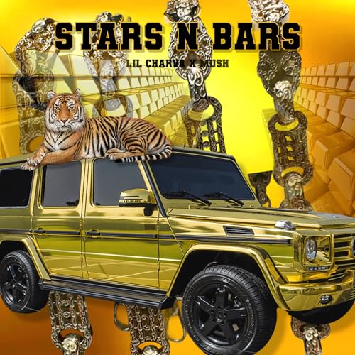  STARS N BARS