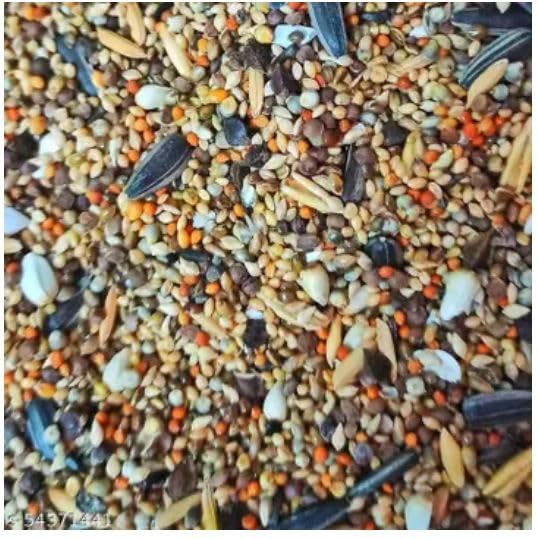 VM Mart Cocktail African Birds Seed Mix Daily Food, 1 Kg (B0CQ8VD8ZF) Amazon Price History, Amazon Price Tracker