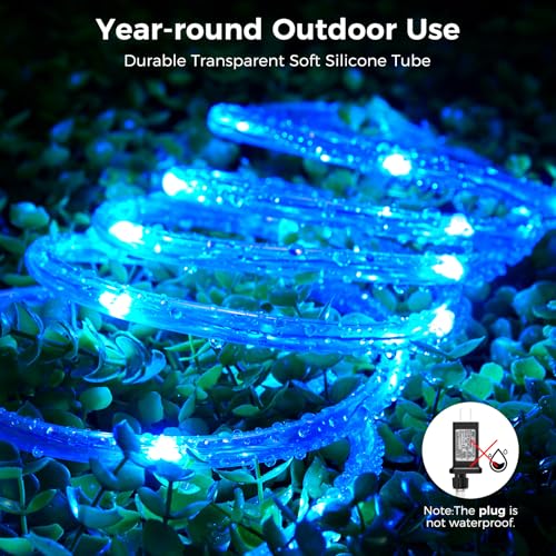 Minetom Color Changing Rope Lights Outdoor, 33FT 100 LED String Lights with Plug & Remote, Waterproof Christmas Light Outdoor Decoration, Twinkle Rope Light for Outside Indoor Bedroom,16 Colors