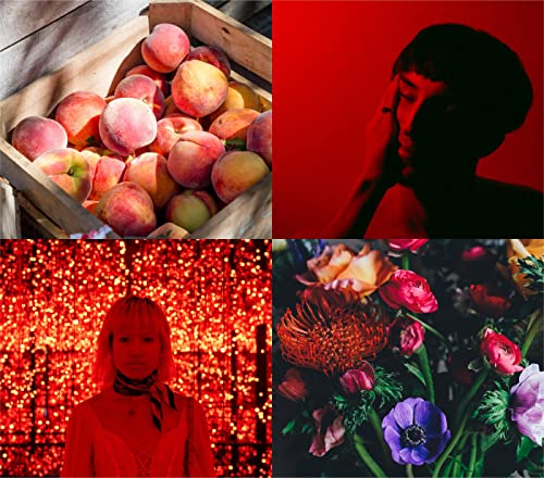 PERFUMER'S CHOICE No4 Phoenix 150ml Body Spray Perfume for Men and Women. Luxury Unisex Fragrance - Mens & Ladies Perfume, Long Lasting Perfume & Aftershave by Milton-Lloyd - Image 4