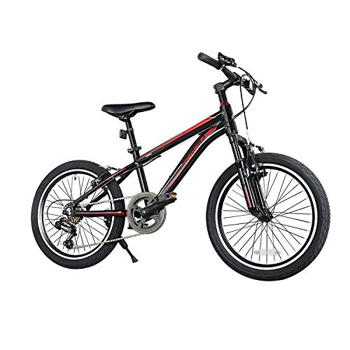 10 Best 20 Bike For 6 Year Old [Buying Guide 2023] • Sacred Car