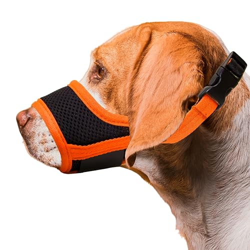 Seyezo p}YA\tg ʋC }Y ^  ^p GAbV iC }Y Jo[ ޖih~  i  h~ ߉\ ߂ ybg }Y 6TCY (IWAXS)