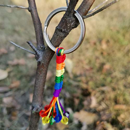 PRETYZOOM 2 Pcs Lgbt Porte-Clés Metalgay Fierté Porte-Clés Homosexuel Arc en Ciel Porte-Clés Porte-Clés Cadeau D'anniversaire pour Hommes Femmes - Image 4
