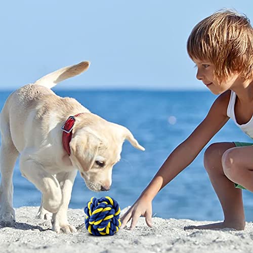 AMAYGA 20-teiliges Hundespielzeug-Set,Langlebiges Hundespielzeug für Welpen/kleine Hunde,Kauspielzeug,ungiftig, geruchlos, langlebig, für die Reinigung von Zähnen