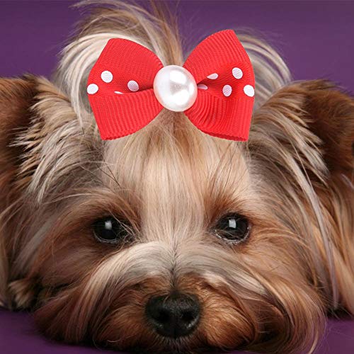 Juguetes Para Perro, Toy Imagen adicional