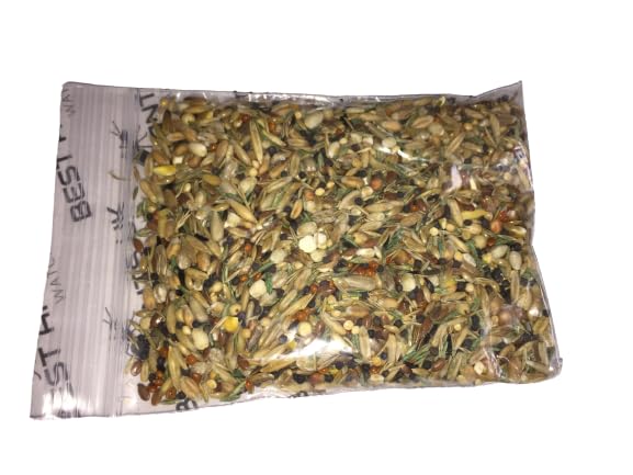 Ant Food Organic Harvester Messor Ants Seeds Best Ants UK