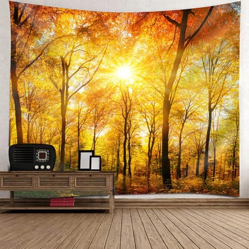Lumière du soleil forêt tapisserie grand format pour illuminer un salon sombre