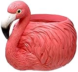 Spoontiques Flamingo Flower Pot - Decorative Flower Pots for Indoor and Outdoor Use - Hand Painted Resin Plant Pot - Home and Garden DΓ©cor