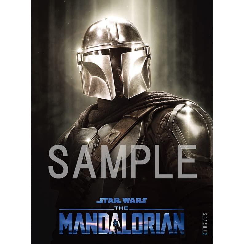 STAR WARS THE MANDALORIAN マンダロリアン　パンフレット STAR WARS THE MANDALORIAN マンダロリアン パンフレット スター