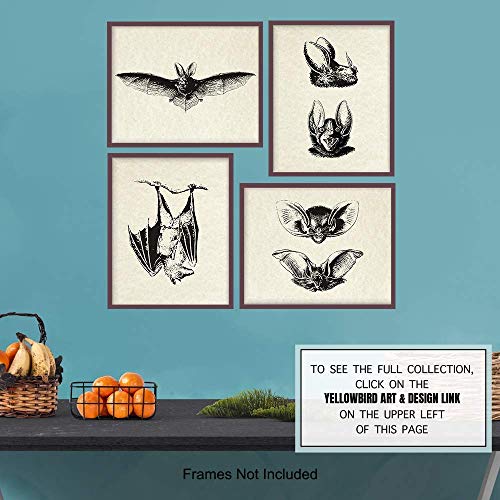 Yellowbird Art & Design Gothic Bats Wall Decor Pictures thumb #6