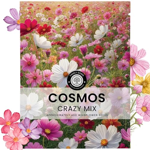 Crazy Cosmos Mix - Large 5g Envelope - 600 Flower Seeds for Planting - Cosmos bipinnatus