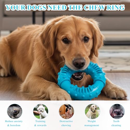 PDirat Hundespielzeug Unzerstörbar, Spielzeug Hund Unzerstörbar, Robustes Kauspielzeug, Natürlicher Gummi Hundespielzeug Zur Zahnpflege und Stressabbau für Kleine, Mittlere & Große Hunde(13cm)