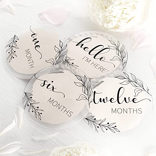 Baby Monthly Milestone 13pcs - 1-12 Baby Months Signs Stickers Discs for Baby Photo Props, Acrylic Months Baby Milestone Circles Markers Cards, Milestone Blocks for Baby Boy Baby Girl (Monthly Signs)