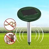 Zoom IMG-1 royal gardineer privo di energia Zoom IMG-1 royal gardineer privo di energia