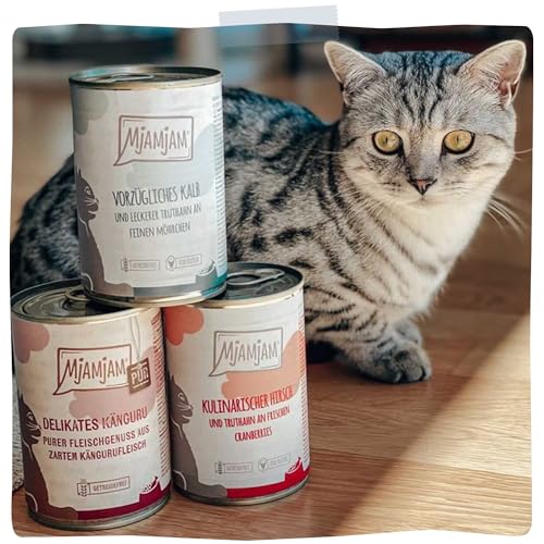 MjAMjAM - Quetschie - delikates Huhn an gedämpftem Kürbis 12 x 125 g 6