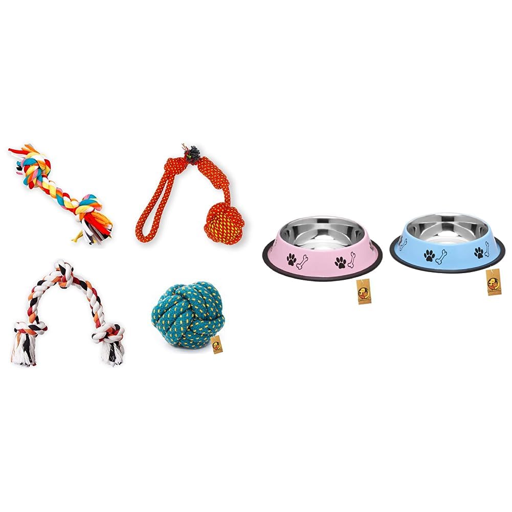 Foodie Puppies Dog Rope Combo(2Knot + 3Knot + Ball + 2knotBall) & Stainless Steel Paw Bone Printed Bowl Combo- 700ml Each (Sky Blue and Baby Pink) (B0CDDDYSNF) Amazon Price History, Amazon Price Tracker