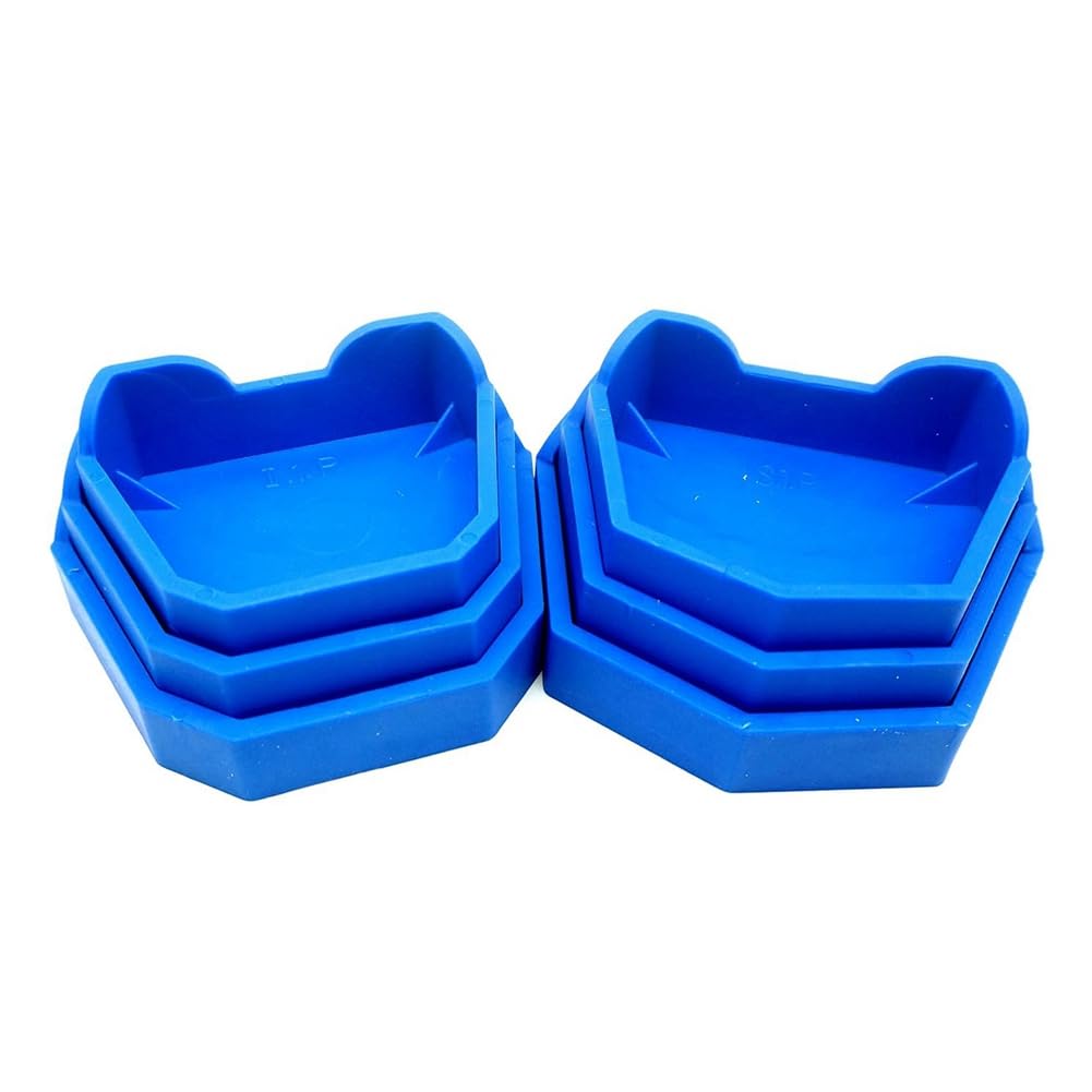 Ginobili Blue Silica Gel Lot de 6 moules de base pour moulage de laboratoire en plâtre