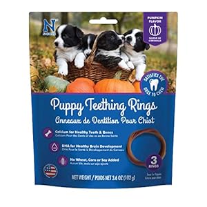 N-Bone Puppy Teething Ring Pumpkin Flavor, 3.6 Oz, 3 Rings