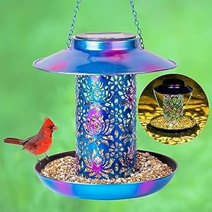 Ottsuls Solar Bird Feeder for Outdoors Hanging, Metal Wild Cardinals Garden Lantern with S Hook, Weatherproof and Water Resistant Birdfeeders as Gift Idea for Bird Lovers (Blue)