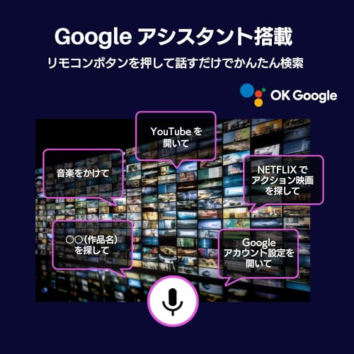 FaCLOSS 液晶テレビ 65V型 FC-T65STV の商品画像 7