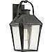 Quoizel CRG8410MB Carriage Outdoor Lantern Wall Sconce, 1-Light, 150 Watts, Mottled Black (19" H x 10" W)
