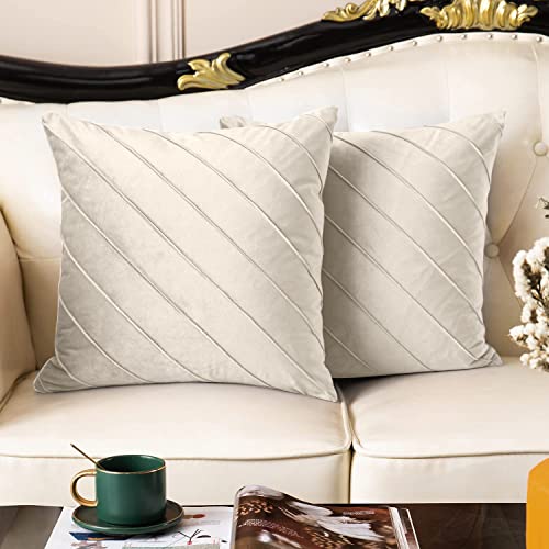 DKNHS 2er Set Kissenbezüge Samt 45x45cm Kissenhülle Dekorative Kissenbezug für Wohnzimmer, Sofa, Schlafzimmer mit Unsichtbarem Reißverschluss (45 x 45 cm, Beige) Cover