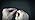 510hVJv YzL._SX35_SY46.jpg