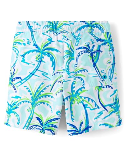 Image of Gymboree Boys and Toddler Swim Trunks