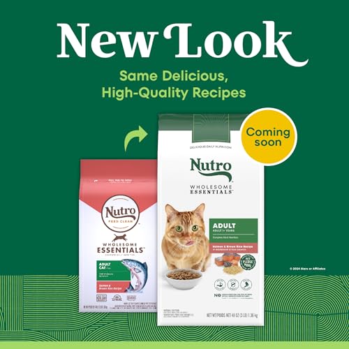 Image of Nutro Wholesome Essentials Adult Dry Cat Food, Salmon & Brown Rice, 3 lb