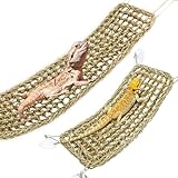 Bearded Dragon Hammock Reptile Lounger for Chameleon, Lizards, Geckos, Snakes, Lguana Reptiles, Tortoises Reptile & Amphibian Habitat Décor