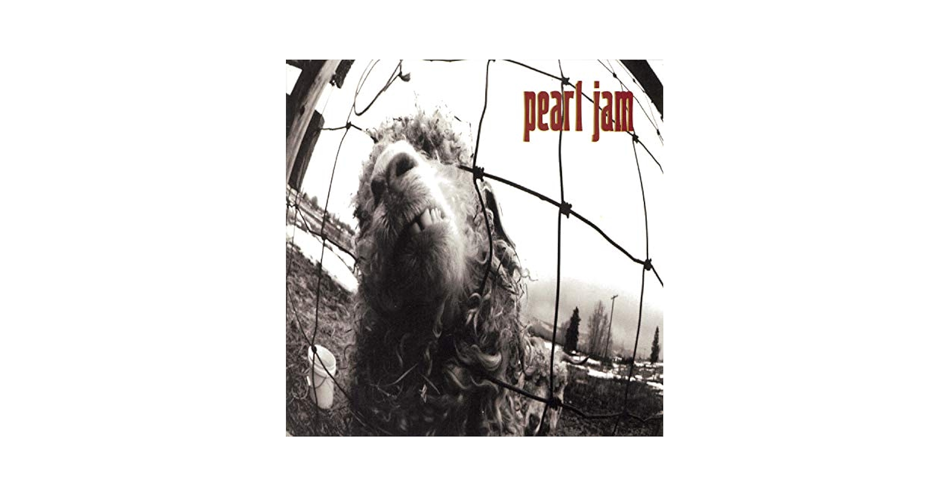 PEARL JAM　Vs　パール・ジャム　レコード　US盤 Pearl Jam - Vs. - Amazon.com Music