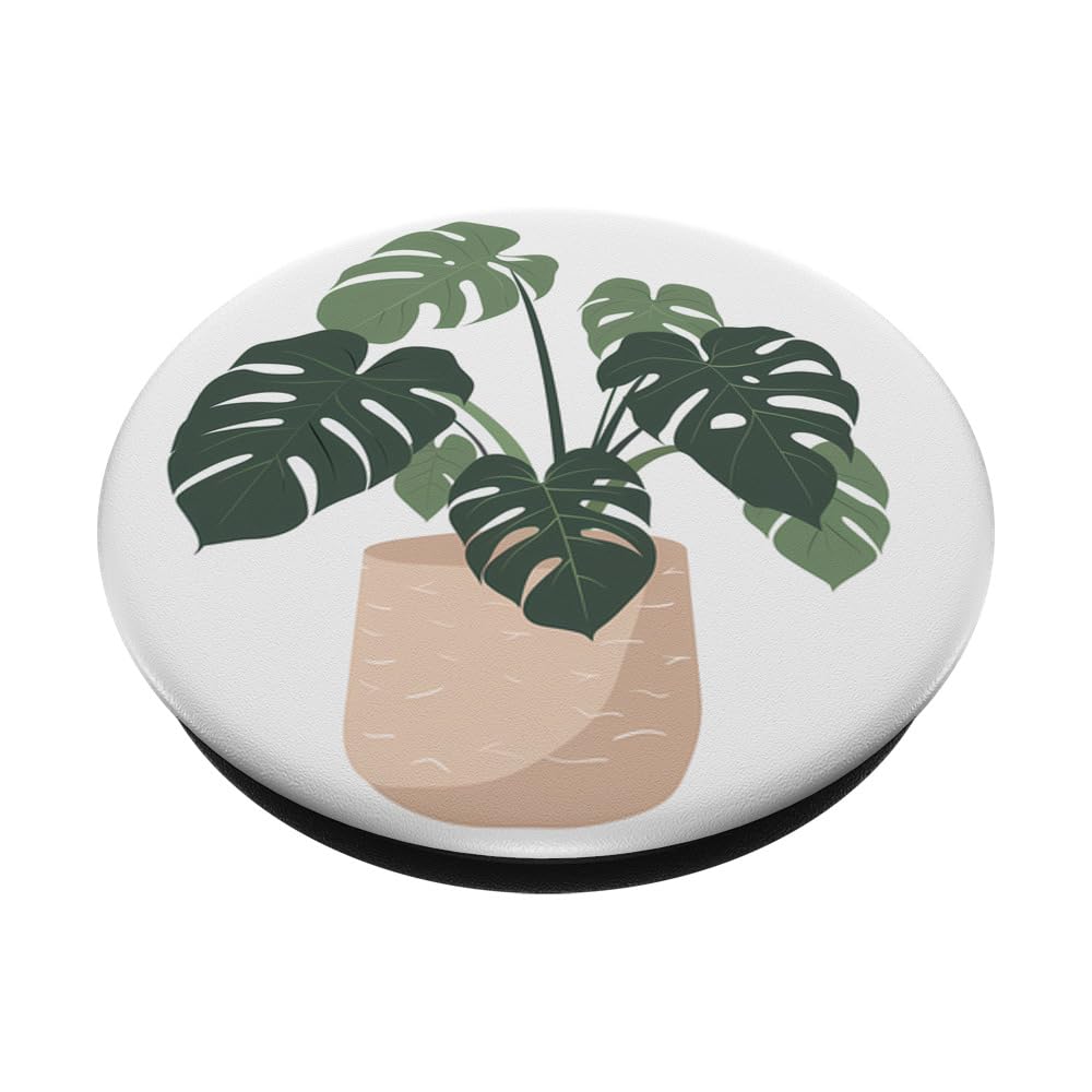 Amazon.com: Monstera Plant Monstera Leaves PopSockets Standard PopGrip :  Cell Phones & Accessories