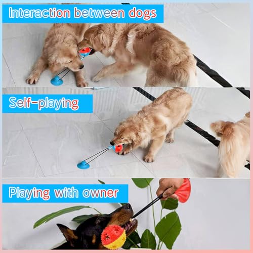 BUYGOO Hundespielzeug mit Saugnapf, Hunde Molar mit Saugnapf Kauseil Ball Pet Spielzeug Hund Zahnbürste Spielzeug für Hund Ziehen, Kauen, Spielen