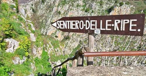 Page de couverture de Basilicata coast to coast e il sentiero delle Ripe