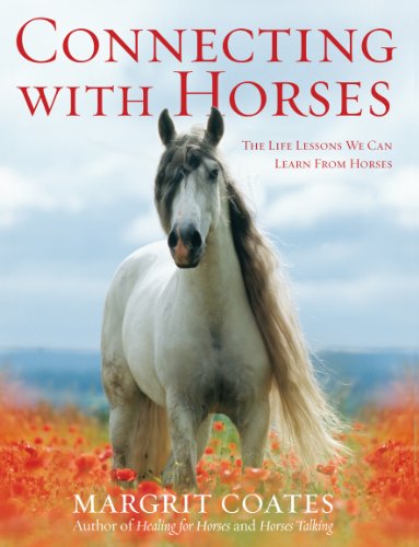 Connecting With Horses: The Life Lessons We Can Learn From Horses
