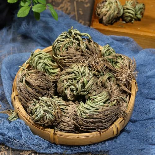 2 pcs rose von jericho echte Zwiebeln - gartenarbeit zimmerbonsai bonsai balkongarten, Selaginella tamariscina Knollen, plant kübelpflanzen winterhart mehrjährig praktische geschenke – Bild 4