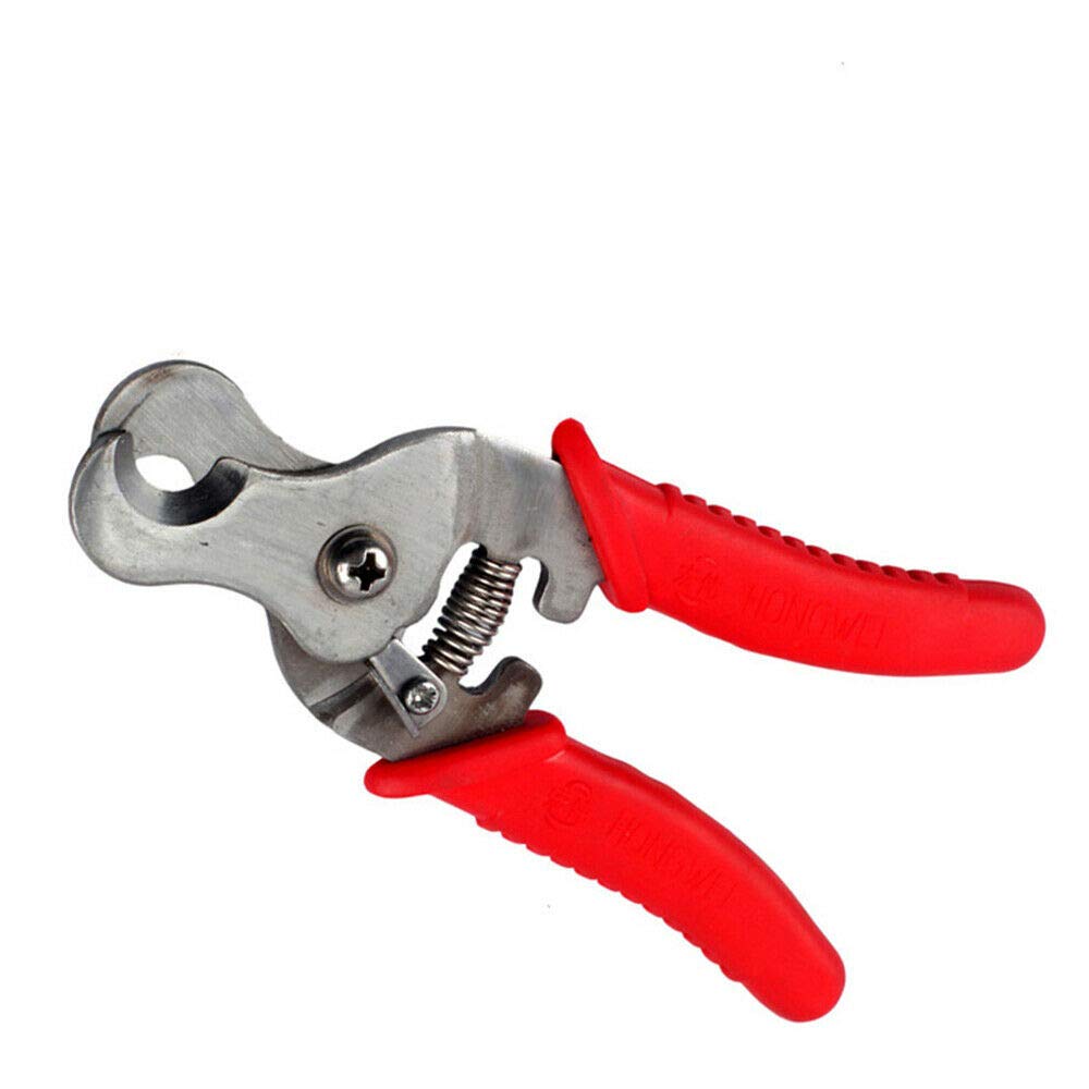Pinze per Etichette Auricolari per Animali, Pinza Rimuovi Etichette per Bovini Pecore Mucche Capre Maiali Applicatori Pinze Rimuovi (Pinza Stacca Etichette)