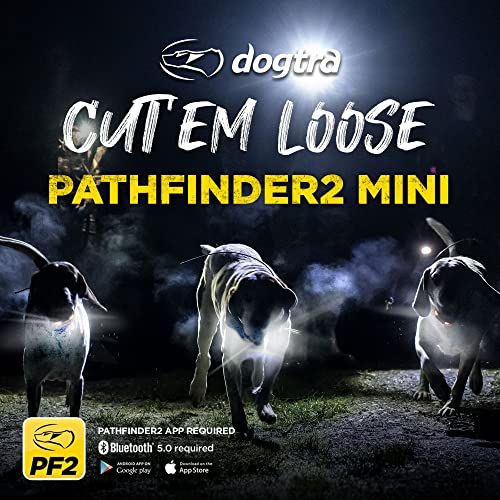 Image of Dogtra Pathfinder 2 Mini - 4 Mile GPS Tracker Dog Hunting Training Collar with Remote, Rechargeable E-Fence Training Collar for Small Medium Large Sport Hunting Dogs, Electric Collar for Professionals